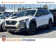 Used 2024 Subaru Outback Wilderness SUV