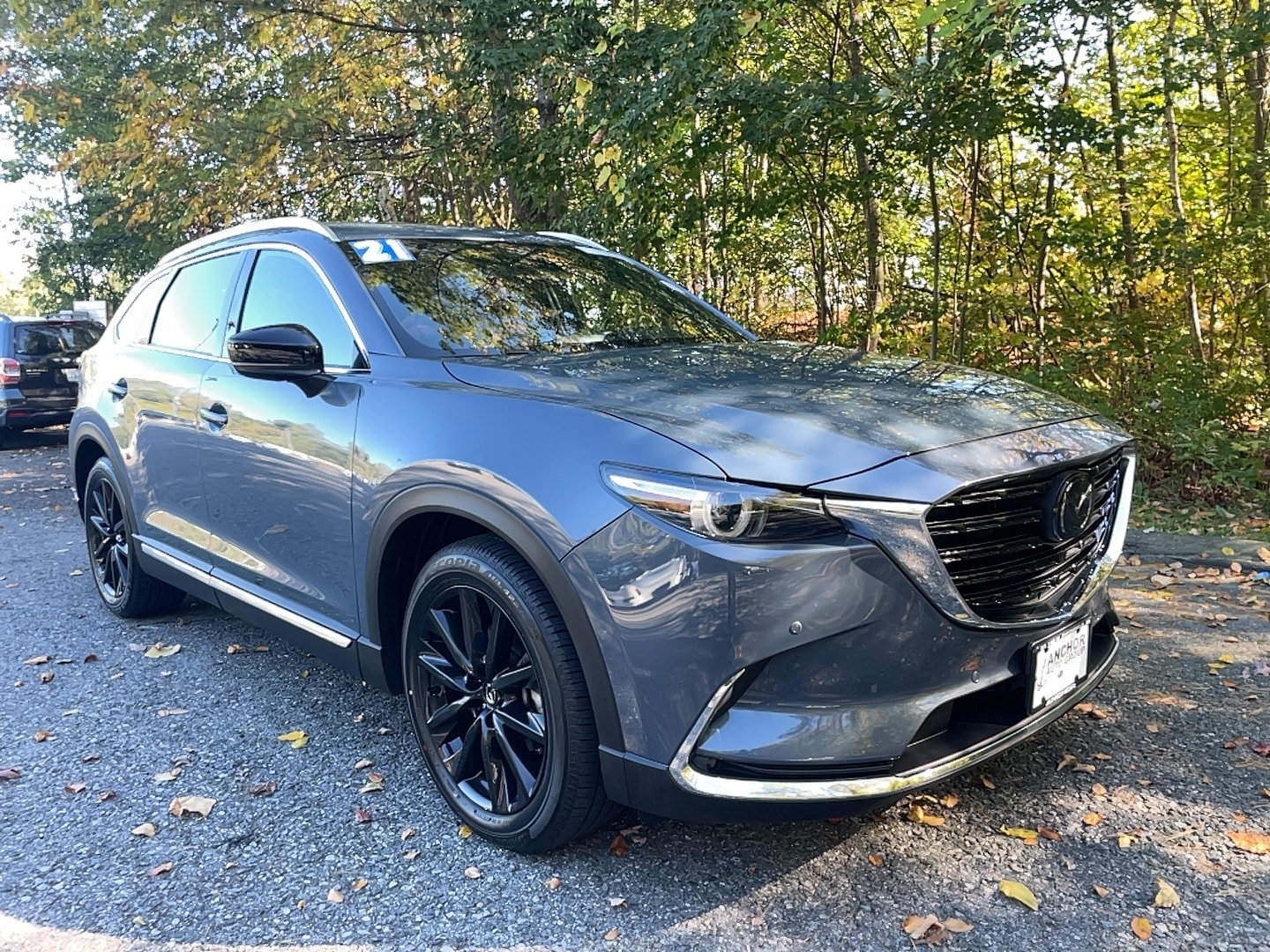 2021 Mazda CX-9 Carbon Edition's photo