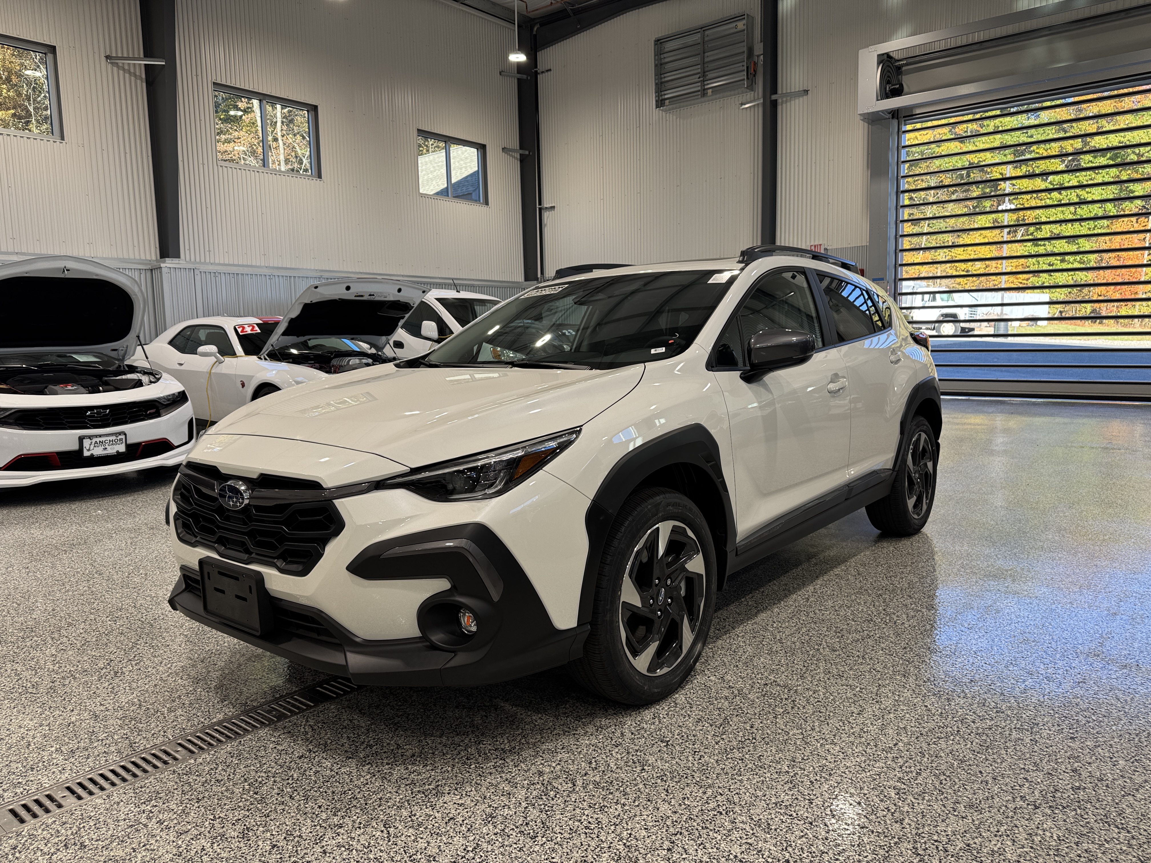  Subaru Crosstrek
