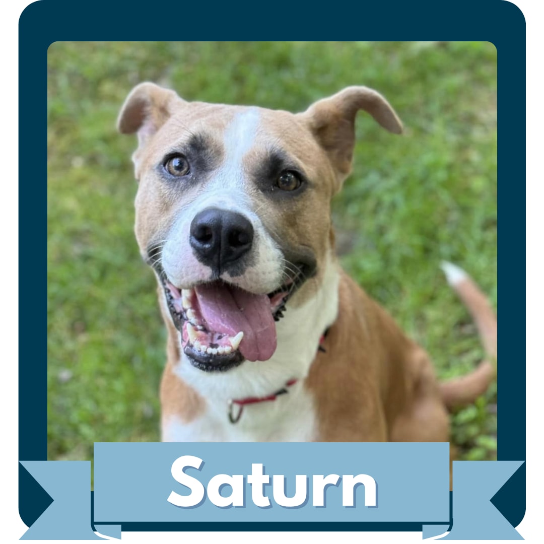 Saturn.png