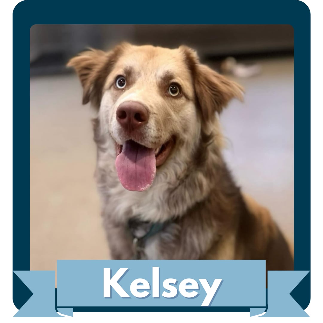 Kelsey.png