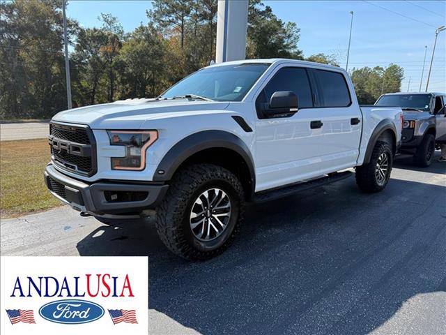 2019 Ford F-150 Raptor's photo