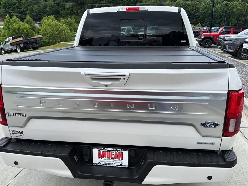 Used 2019 Ford F-150 Platinum