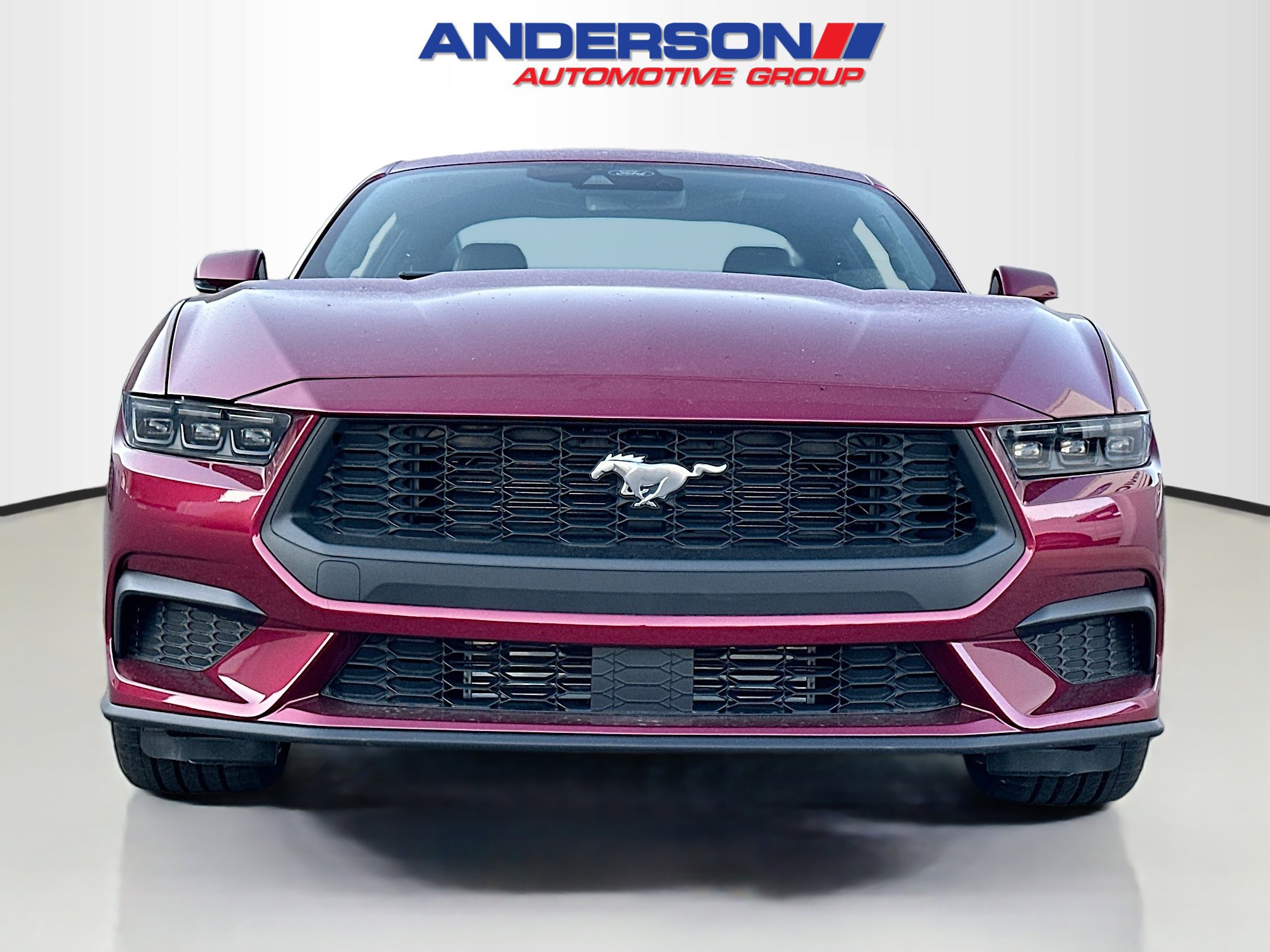 2025 Ford Mustang EcoBoost Premium Fastback - Photo 12