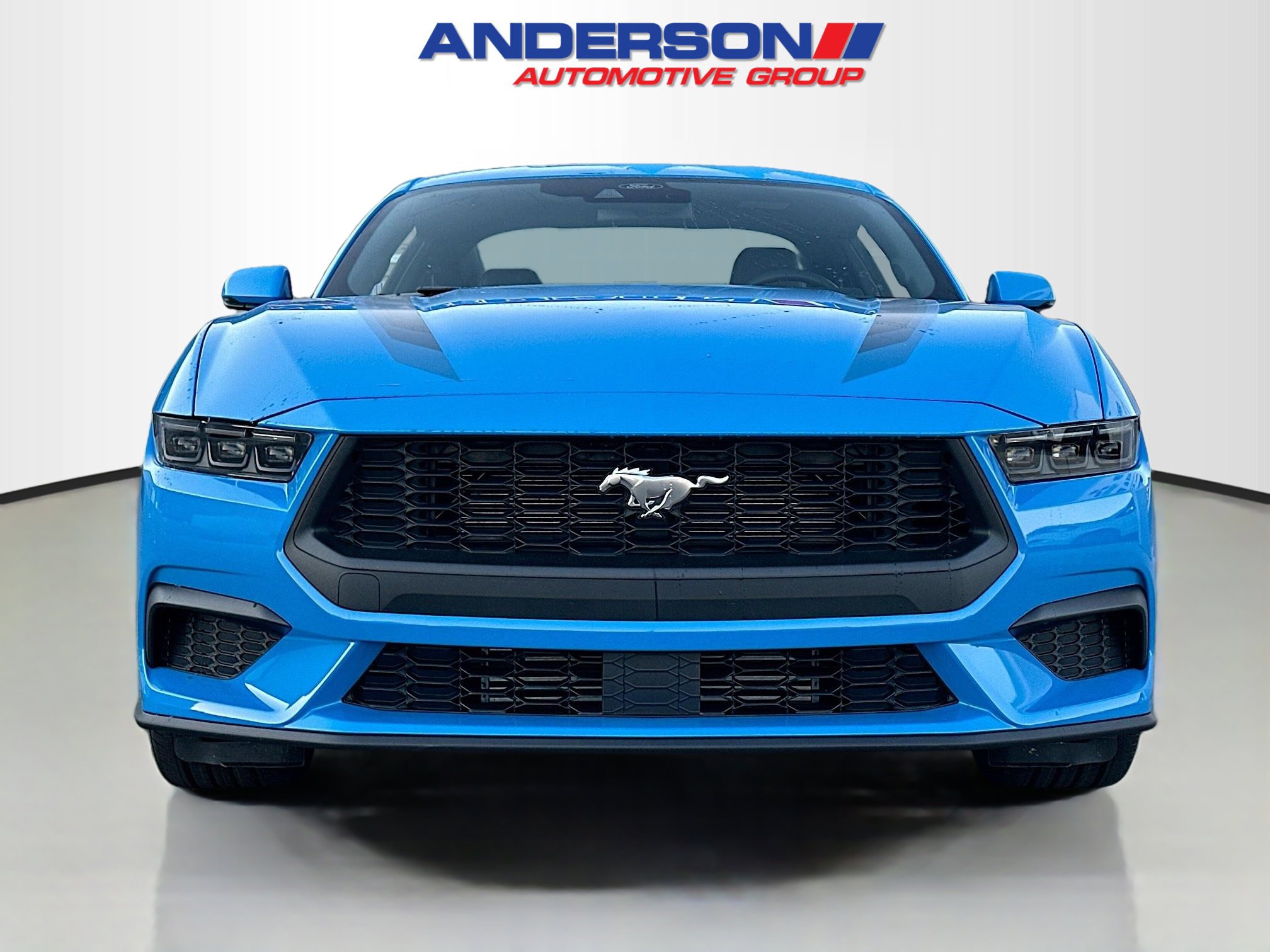 2025 Ford Mustang EcoBoost Premium Fastback - Photo 13