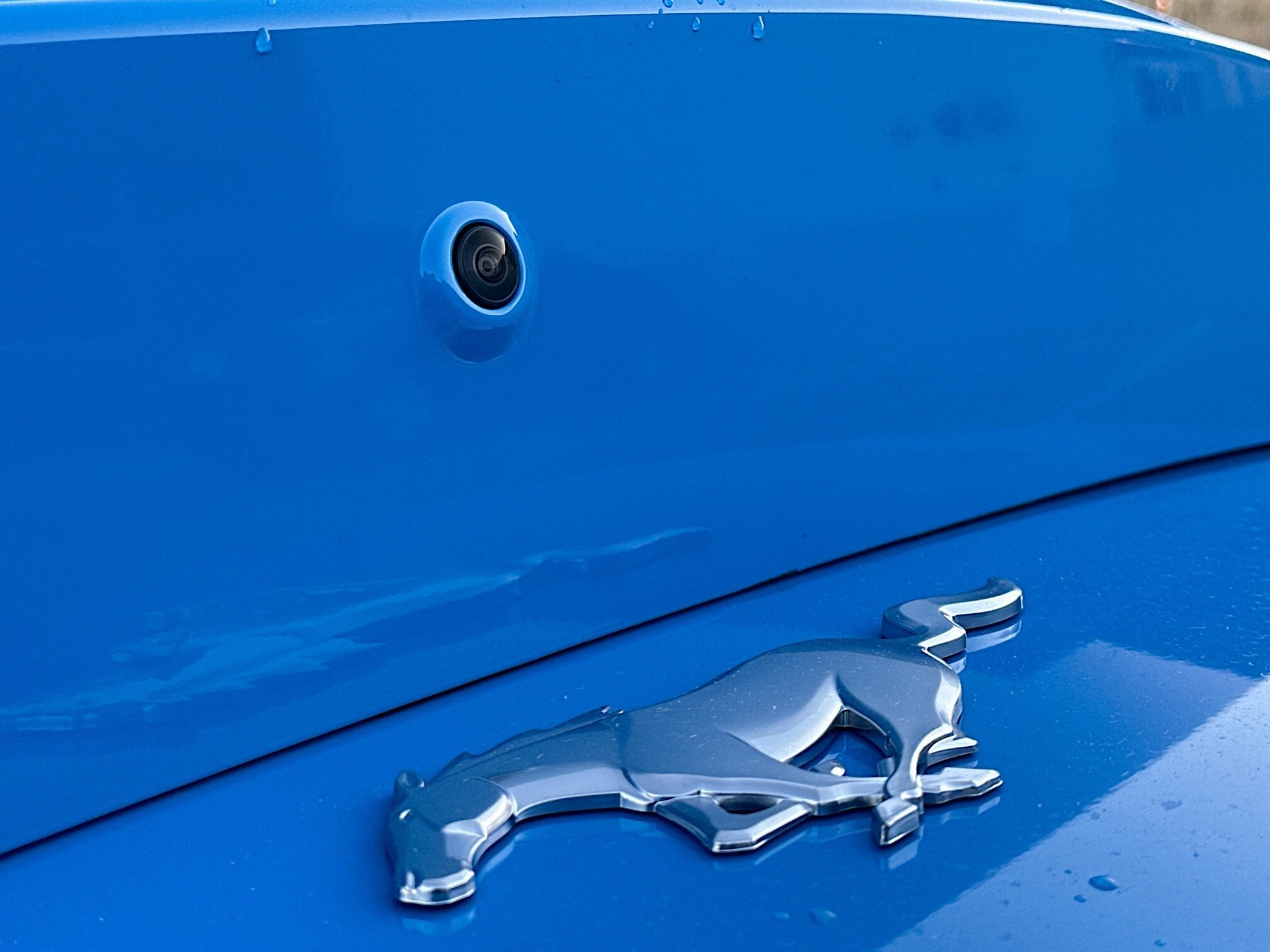 2025 Ford Mustang EcoBoost Premium Fastback - Photo 11