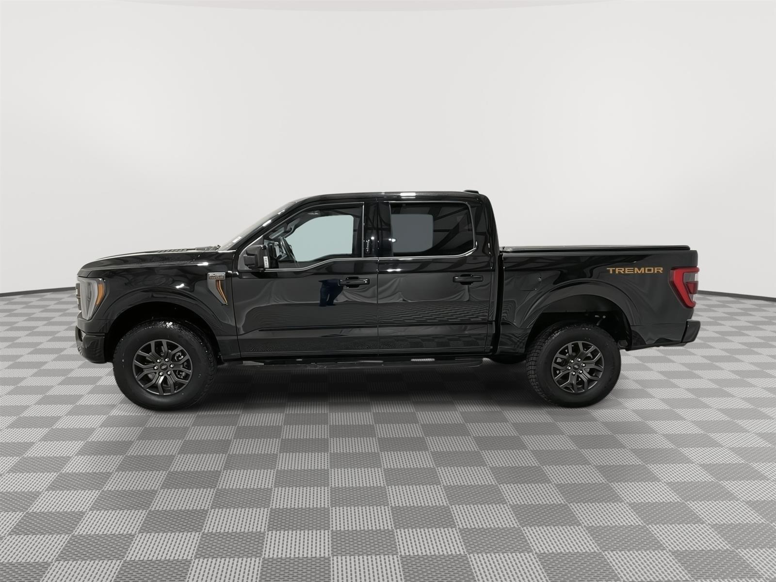 Used 2023 Ford F-150 Tremor with VIN 1FTEW1E87PFA72958 for sale in Kansas City