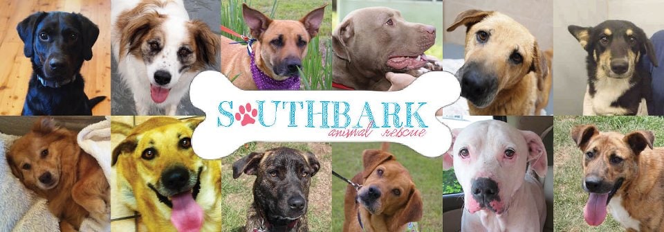SouthBARK.jpg