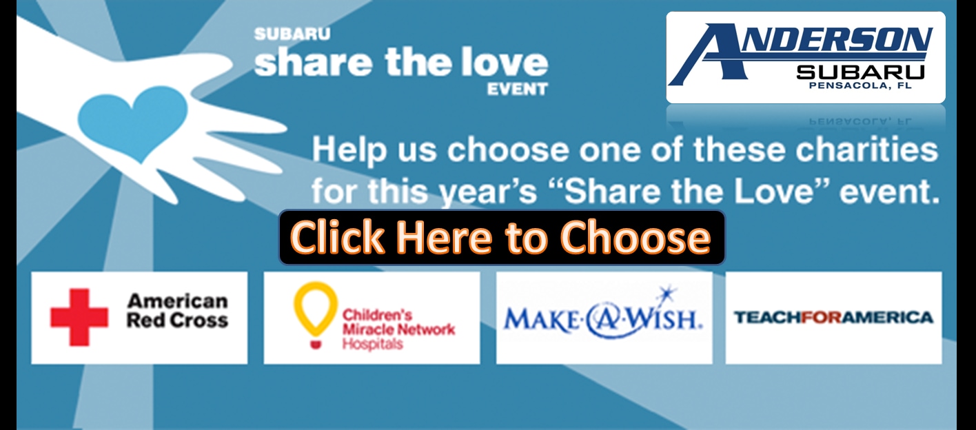 Anderson Subaru Share the Love Event