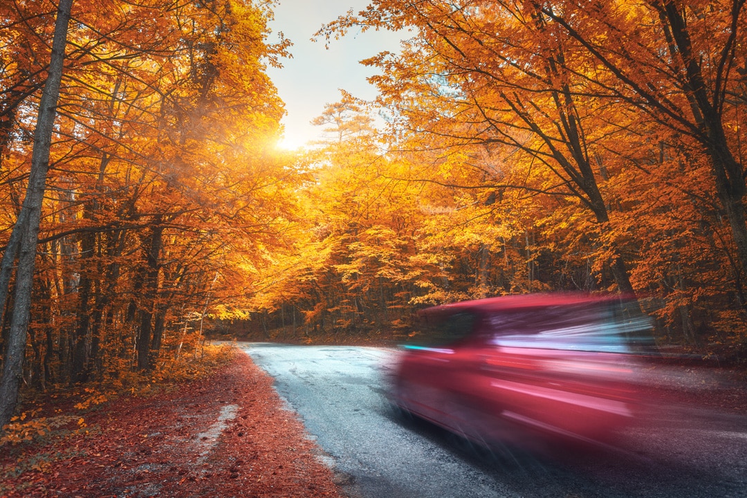 Goodbye Summer Hello Fall Anderson Weber Toyota