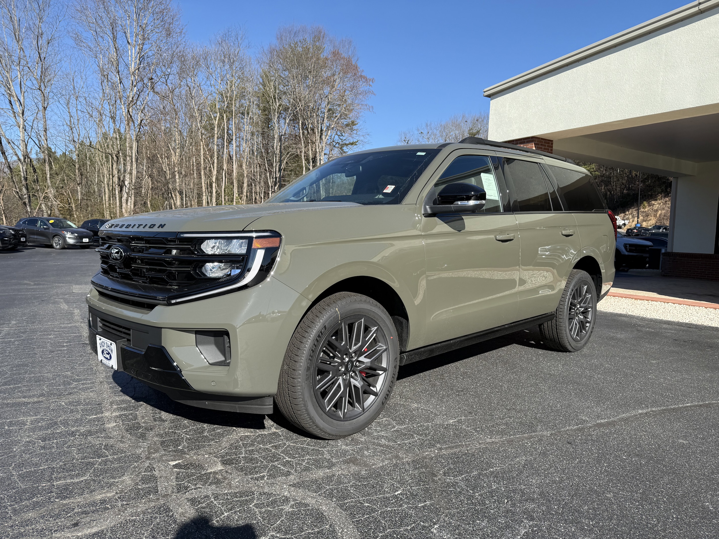 2025 Ford Expedition Platinum's photo