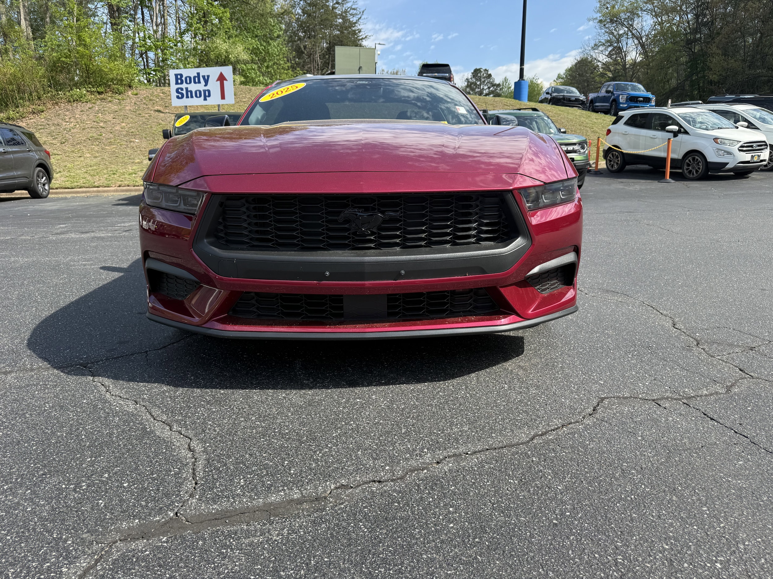 1FA6P8TH6S5114862