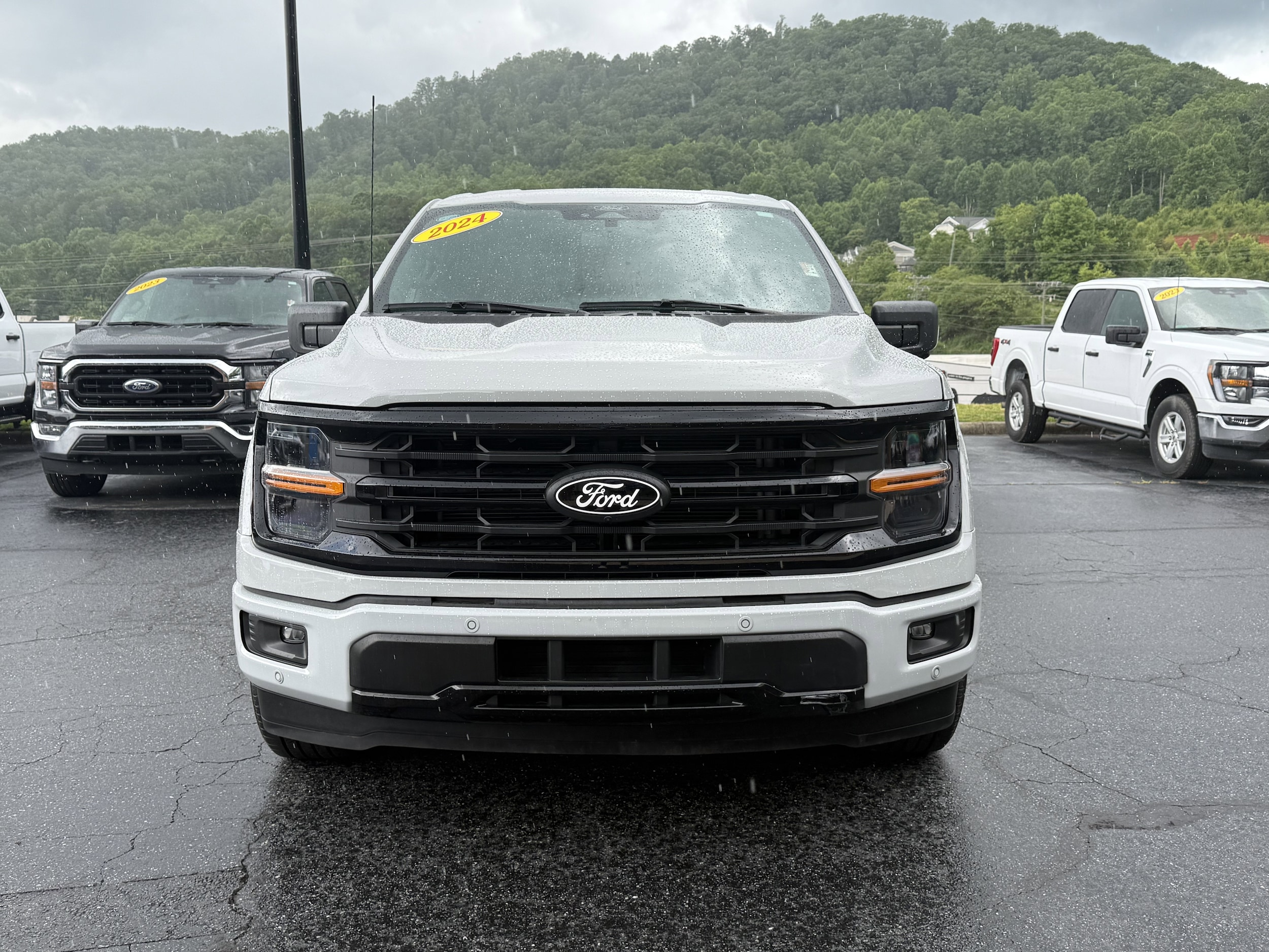 Used 2024 Ford F-150 XLT with VIN 1FTEW3KP2RKD54975 for sale in Sylva, NC
