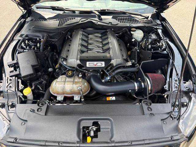 2015 Ford Mustang GT - Photo 22