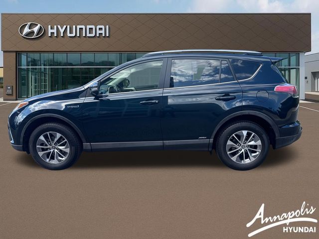 Used 2017 Toyota RAV4 XLE with VIN JTMRJREVXHD082997 for sale in Edgewater, MD