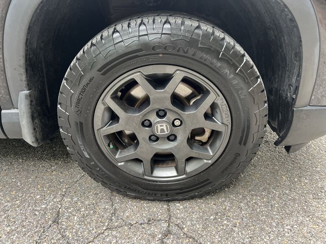 2023 Honda Pilot TrailSport AWD's photo