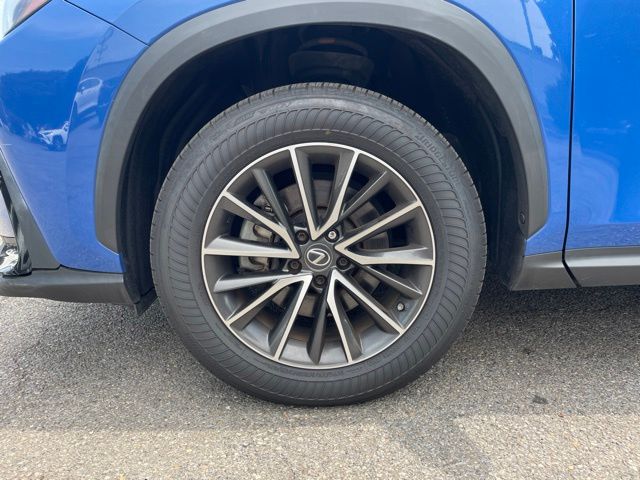 Photo 24
