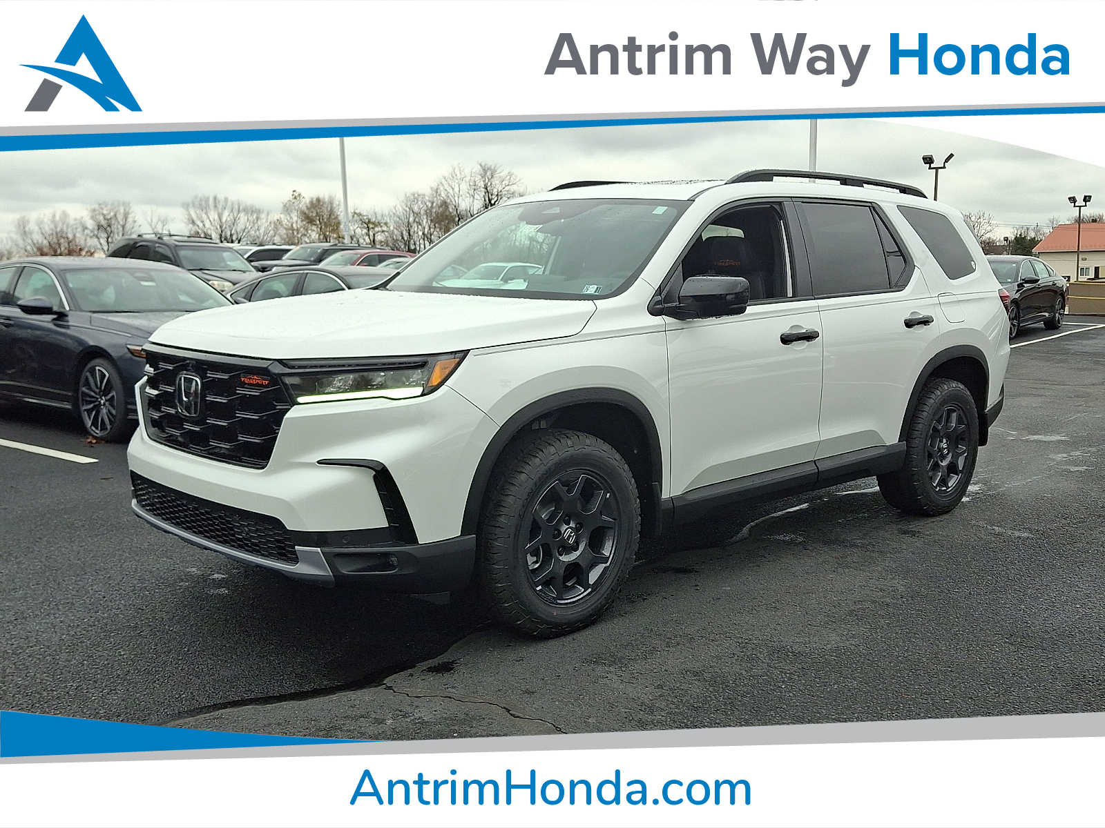 2025 Honda Pilot TrailSport's photo