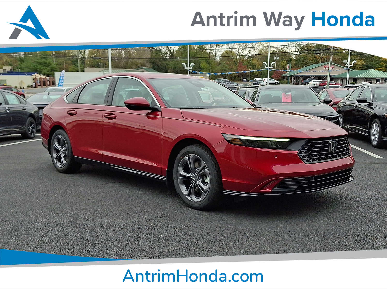 2025 Honda Accord Hybrid EX-L's photo