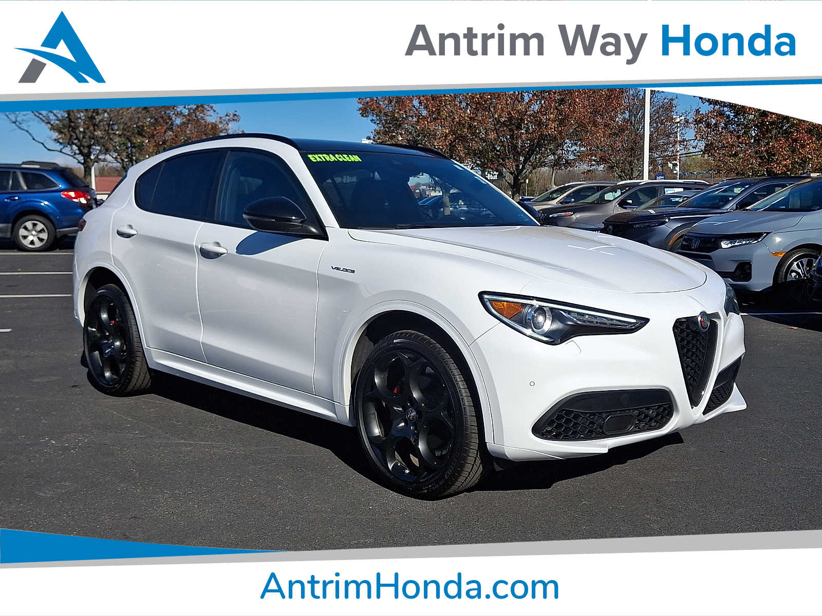 2023 Alfa Romeo Stelvio Veloce's photo