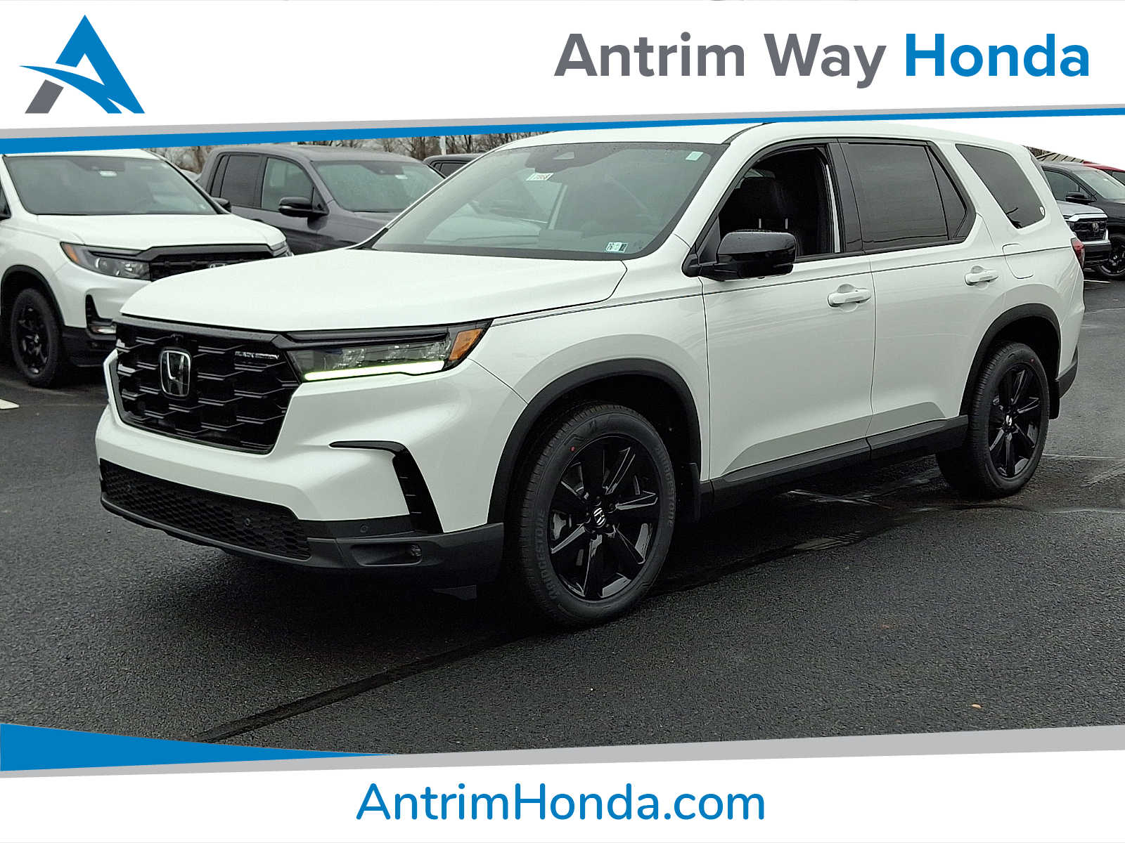 2025 Honda Pilot Black Edition's photo