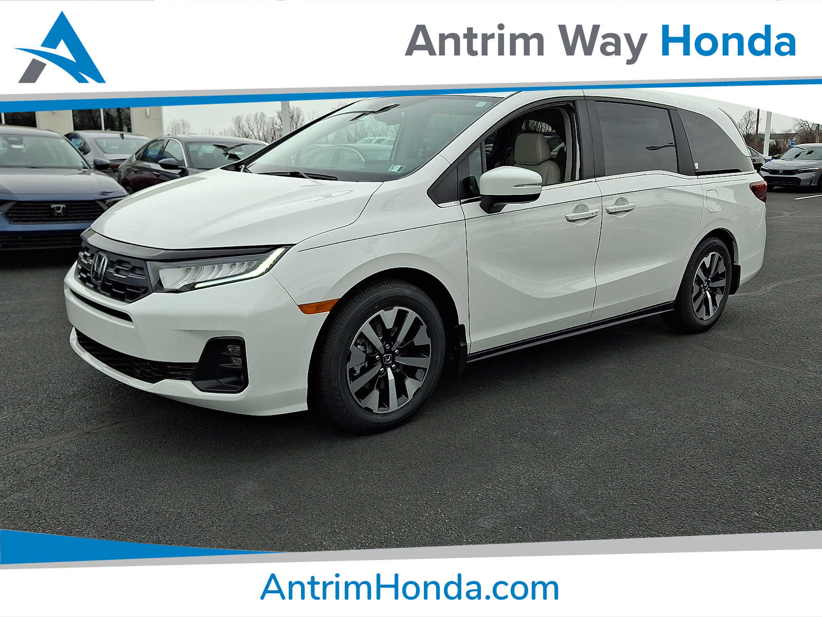 2026 Honda Odyssey EX-L's photo