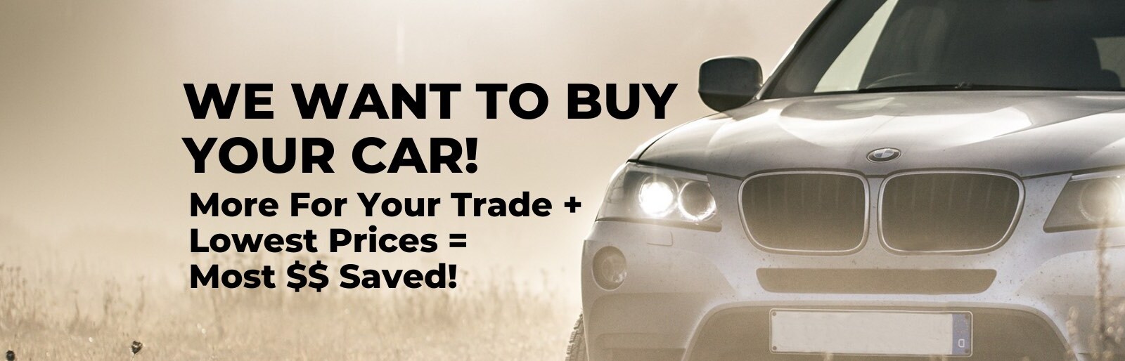 Used Car Dealership near Raleigh, NC Apex Imports