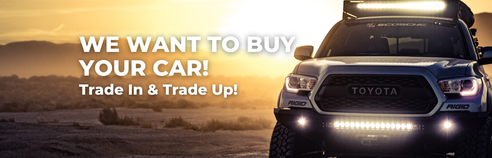 Used Car Dealership near Raleigh, NC Apex Imports