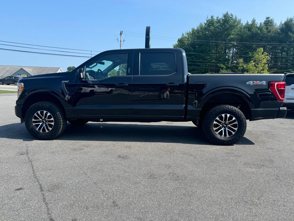 2023 Ford F-150 XLT photo 3