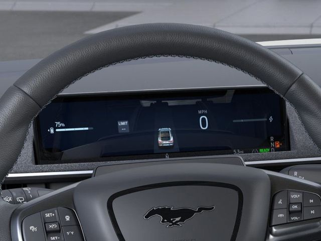 2025 Ford Mustang Mach-E GT - Photo 13
