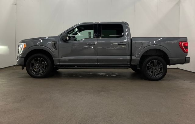 2023 Ford F-150 XLT photo 2