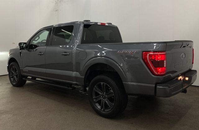 2023 Ford F-150 XLT photo 3