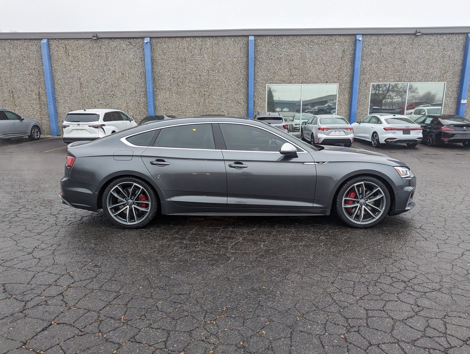 2019 Audi S5 Prestige photo 4