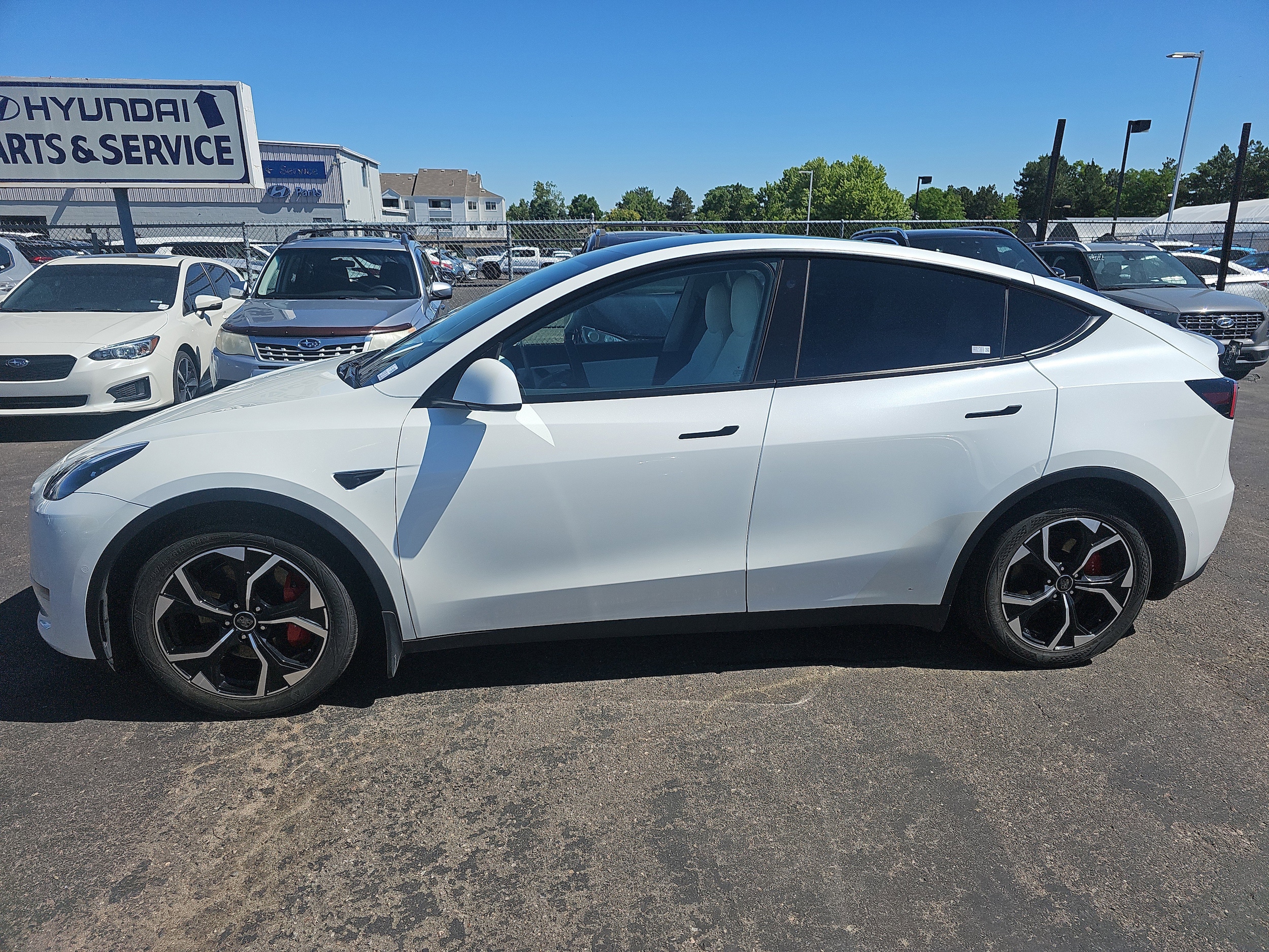 Used 2022 Tesla Model Y Performance with VIN 7SAYGDEF8NF417087 for sale in Centennial, CO