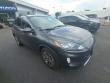 Used 2020 Ford Escape SEL SUV
