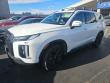 Used 2023 Hyundai Palisade XRT SUV