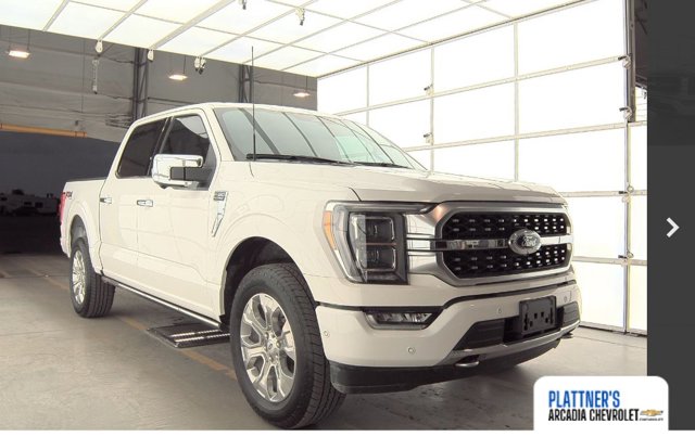 2023 Ford F-150 Platinum photo 4