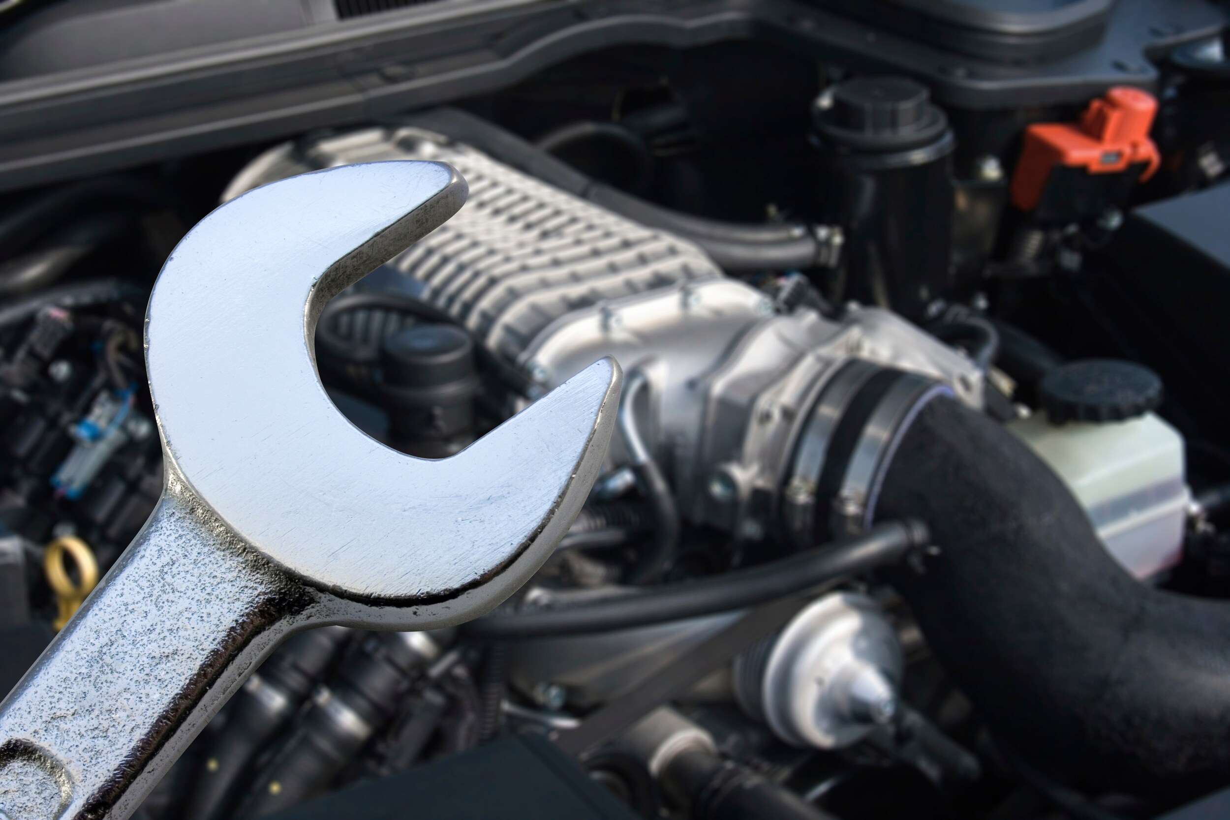 iStock_000005200828_Large.jpg