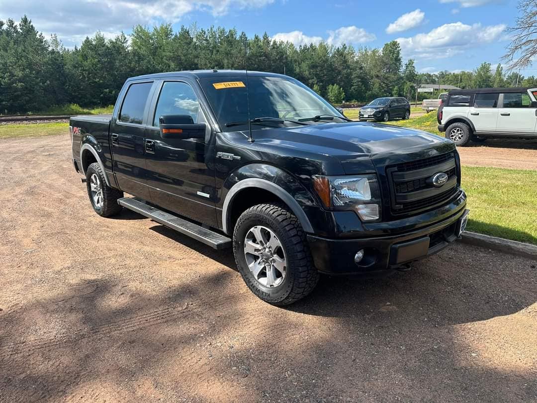 Used 2014 Ford F-150 FX4 with VIN 1FTFW1ET3EFC28340 for sale in Sandstone, MN