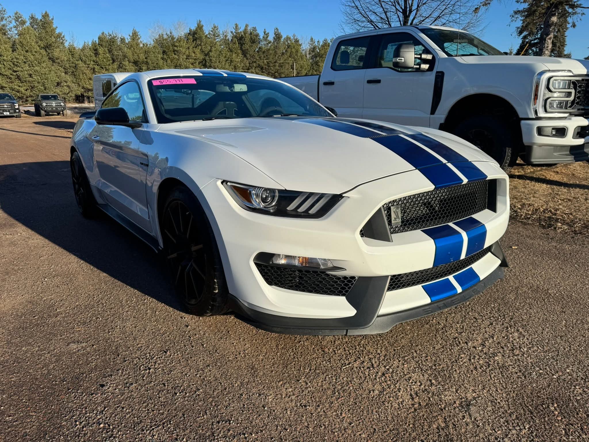 Used 2018 Ford Mustang Shelby GT350 with VIN 1FA6P8JZ2J5502083 for sale in Sandstone, Minnesota