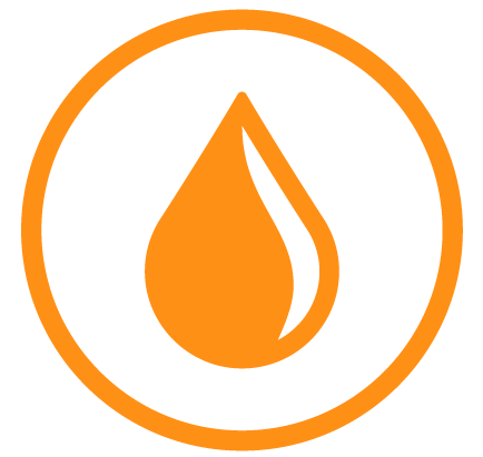 LIFETIME Oil Changes