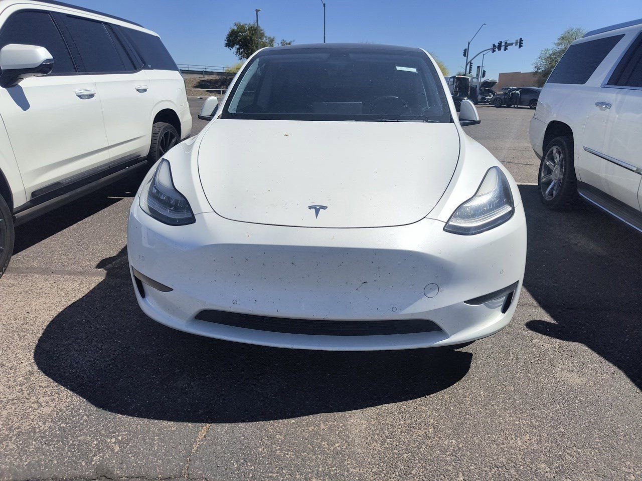 Used 2021 Tesla Model Y Standard Range with VIN 5YJYGAED5MF135501 for sale in Glendale, AZ