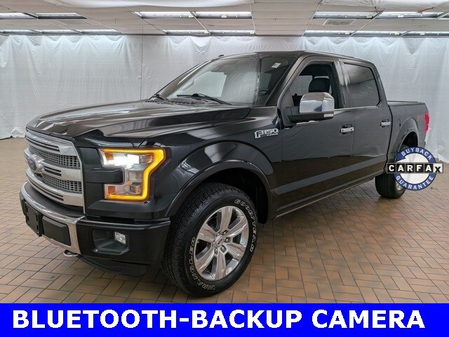 2016 Ford F-150 Platinum photo 3