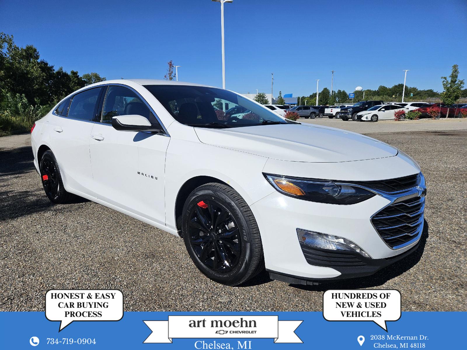 1G1ZD5ST3PF163841