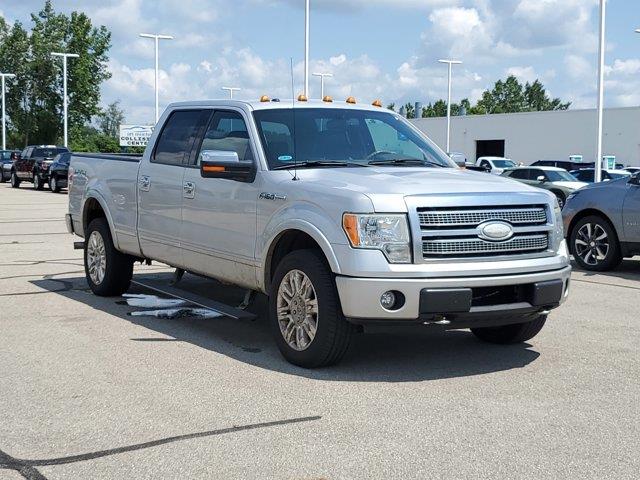 Used 2009 Ford F-150 Platinum with VIN 1FTPW14V59FA02071 for sale in Jackson, MI