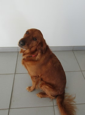 Staff member Tula from 59d3779d3e1b