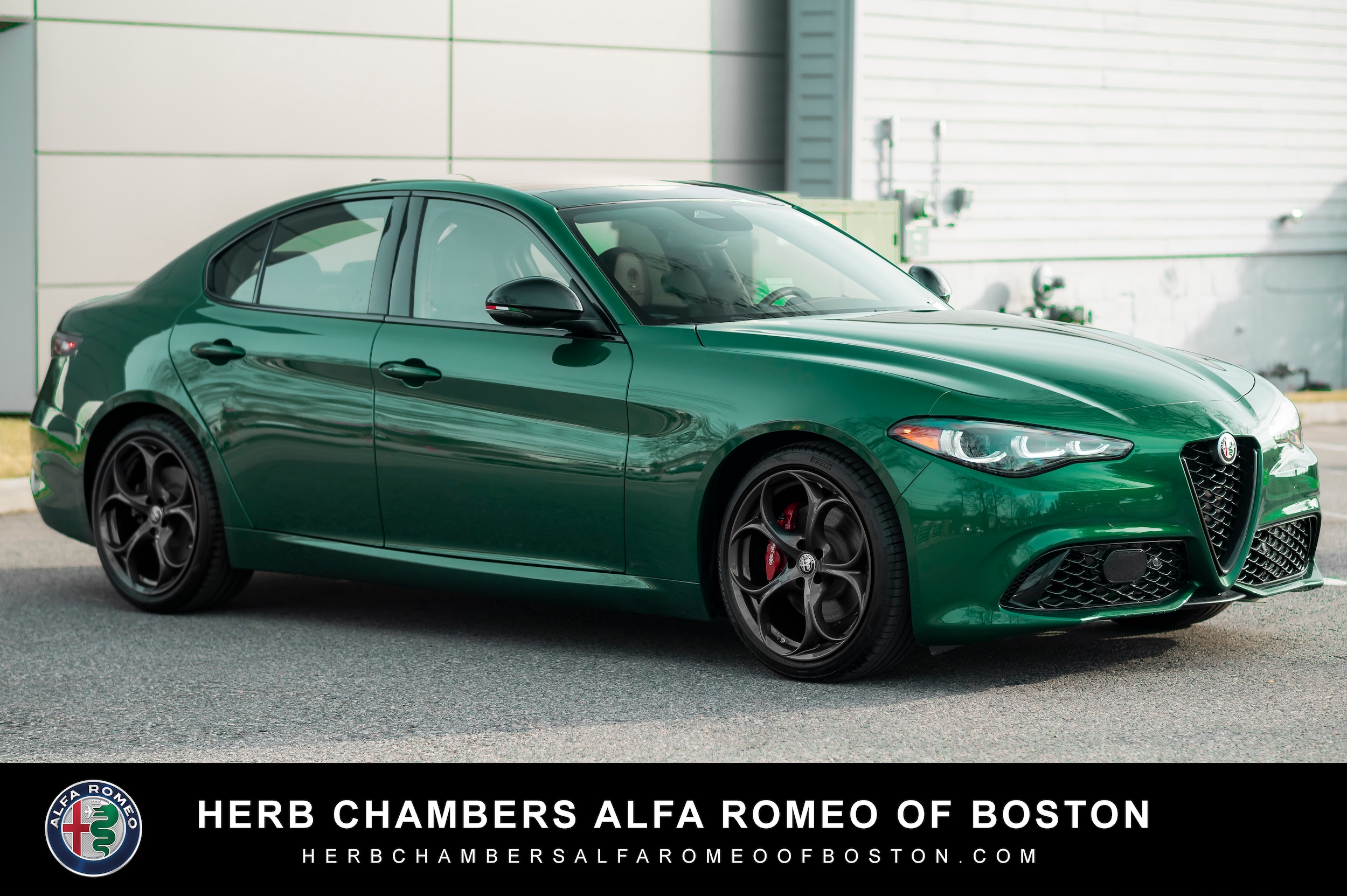 2025 Alfa Romeo Giulia Tributo Italiano's photo