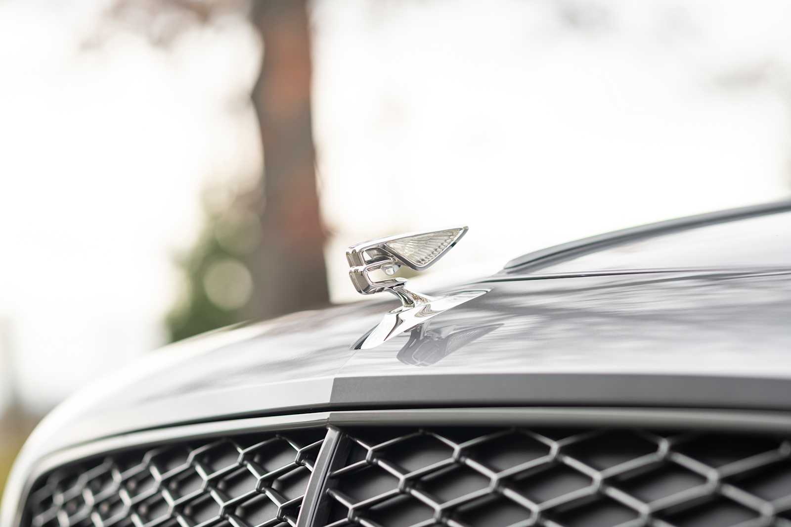 used 2025 Bentley Flying Spur car