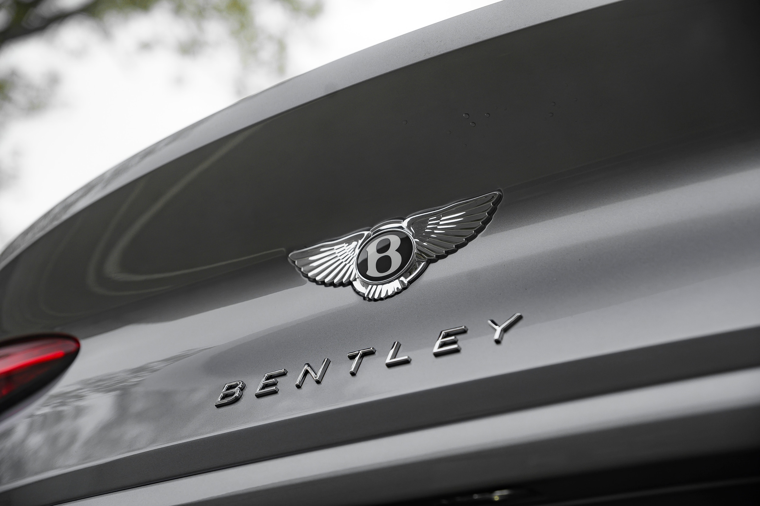 2026 Bentley Continental GT Base - Photo 10
