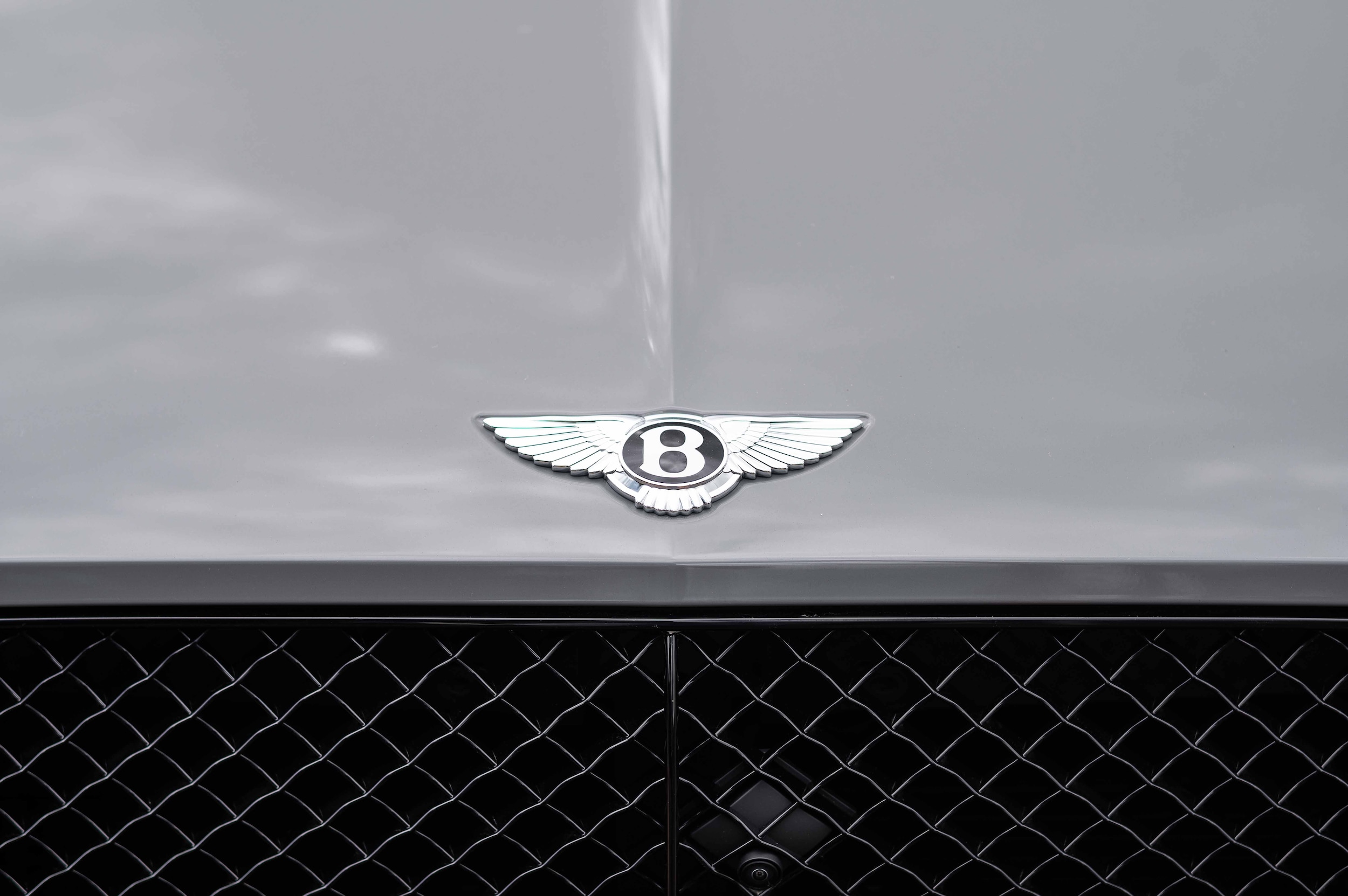used 2024 Bentley Continental GT car